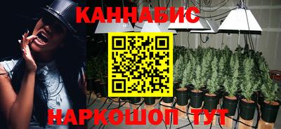 прущие грибы Новокубанск