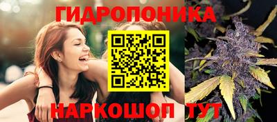 твердый Новозыбков