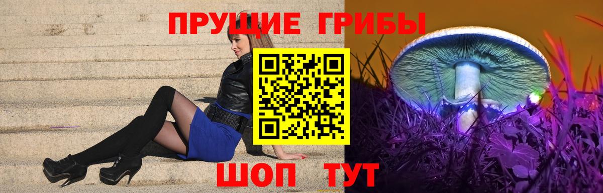 Северобайкальск  Галлюциногенные грибы MAGIC MUSHROOMS  Вход с VPN 